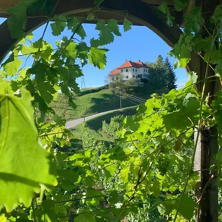 Bee Happy - Farmstay Camp *